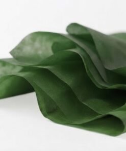 Pliego de papel de china color Verde oscuro Mis Pasitos unidad